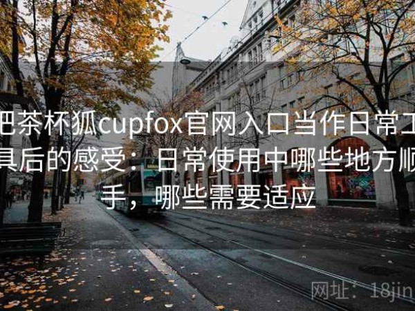 把茶杯狐cupfox官网入口当作日常工具后的感受：日常使用中哪些地方顺手，哪些需要适应