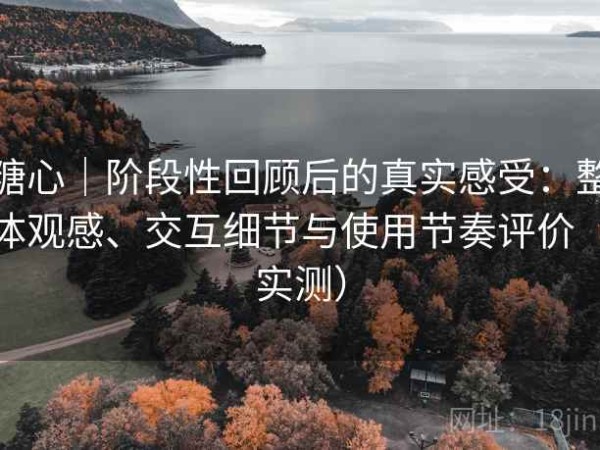 糖心｜阶段性回顾后的真实感受：整体观感、交互细节与使用节奏评价（实测）
