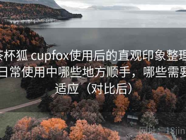 茶杯狐 cupfox使用后的直观印象整理：日常使用中哪些地方顺手，哪些需要适应（对比后）