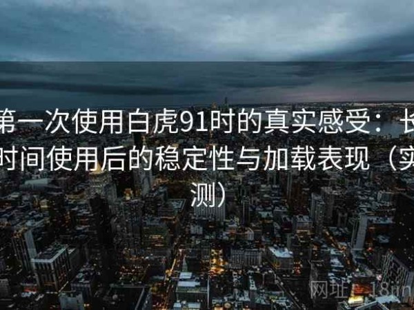 第一次使用白虎91时的真实感受：长时间使用后的稳定性与加载表现（实测）