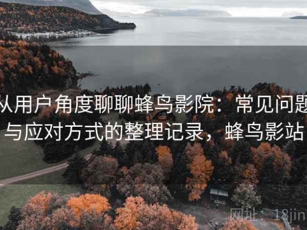 从用户角度聊聊蜂鸟影院：常见问题与应对方式的整理记录，蜂鸟影站