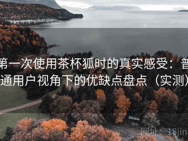 第一次使用茶杯狐时的真实感受：普通用户视角下的优缺点盘点（实测）