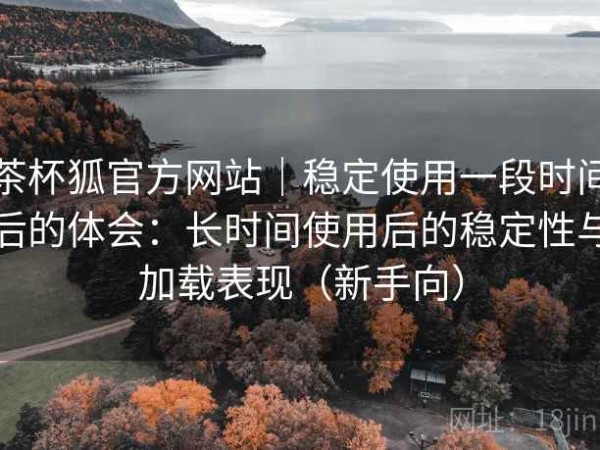 茶杯狐官方网站｜稳定使用一段时间后的体会：长时间使用后的稳定性与加载表现（新手向）