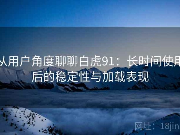 从用户角度聊聊白虎91：长时间使用后的稳定性与加载表现