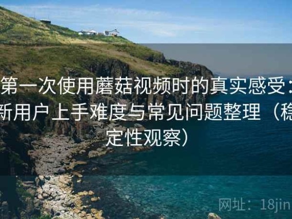 第一次使用蘑菇视频时的真实感受：新用户上手难度与常见问题整理（稳定性观察）