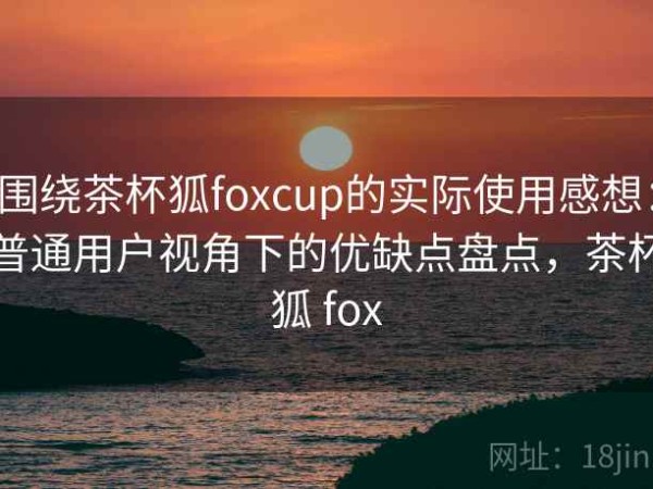 围绕茶杯狐foxcup的实际使用感想：普通用户视角下的优缺点盘点，茶杯狐 fox