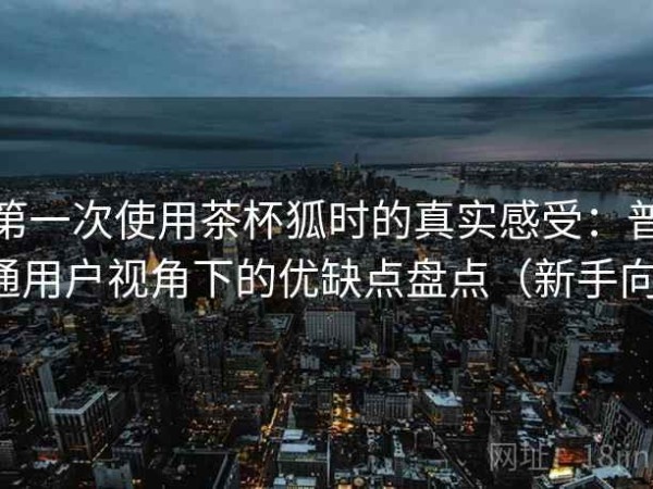 第一次使用茶杯狐时的真实感受：普通用户视角下的优缺点盘点（新手向）
