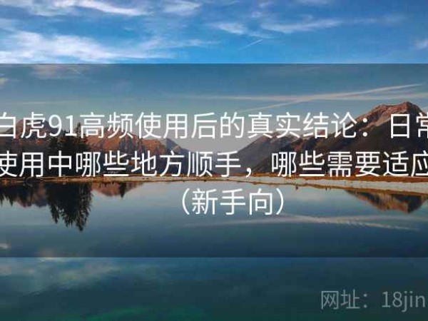 白虎91高频使用后的真实结论：日常使用中哪些地方顺手，哪些需要适应（新手向）