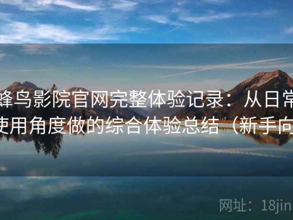 蜂鸟影院官网完整体验记录：从日常使用角度做的综合体验总结（新手向）