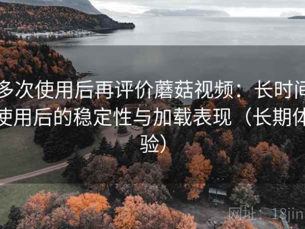 多次使用后再评价蘑菇视频：长时间使用后的稳定性与加载表现（长期体验）