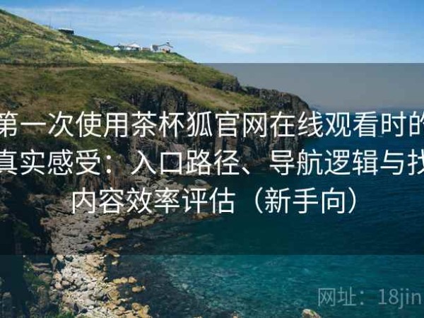 第一次使用茶杯狐官网在线观看时的真实感受：入口路径、导航逻辑与找内容效率评估（新手向）