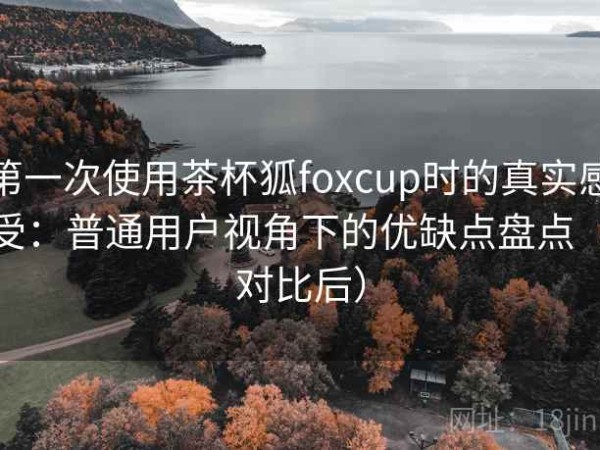 第一次使用茶杯狐foxcup时的真实感受：普通用户视角下的优缺点盘点（对比后）