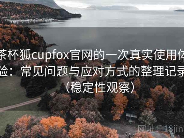 茶杯狐cupfox官网的一次真实使用体验：常见问题与应对方式的整理记录（稳定性观察）