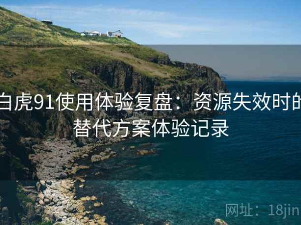 白虎91使用体验复盘：资源失效时的替代方案体验记录