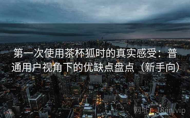 第一次使用茶杯狐时的真实感受：普通用户视角下的优缺点盘点（新手向）