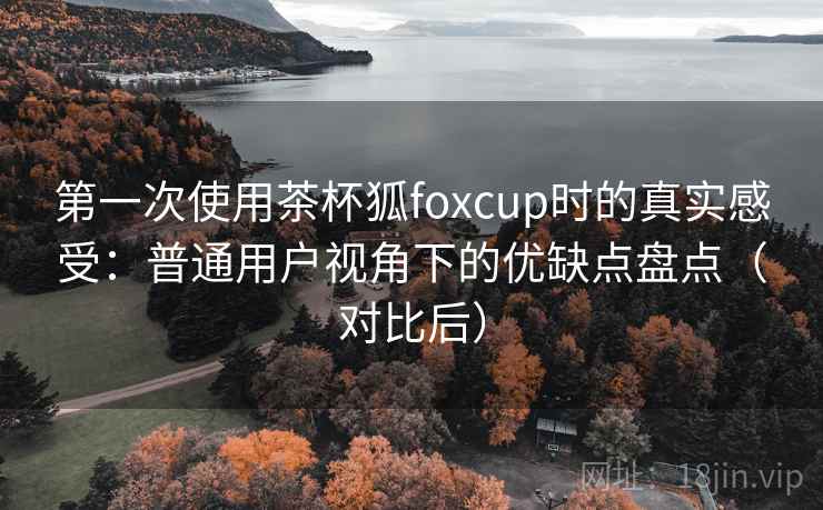 第一次使用茶杯狐foxcup时的真实感受:普通用户视角下的优缺点盘点(对比后) 第一次使用茶杯狐foxcup时的真实感受:普通用户视角下的优缺点盘点(对比后)