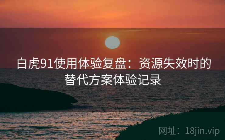 白虎91使用体验复盘：资源失效时的替代方案体验记录