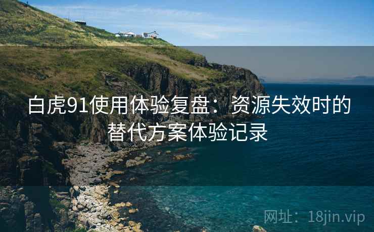 白虎91使用体验复盘：资源失效时的替代方案体验记录