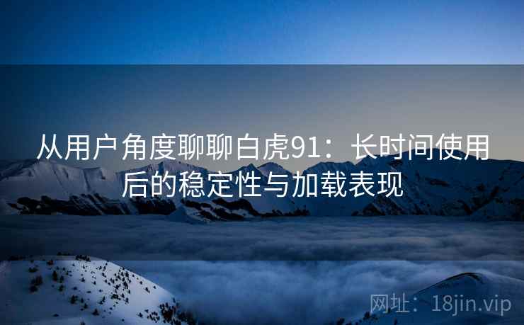 从用户角度聊聊白虎91：长时间使用后的稳定性与加载表现